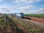 RUMO 9842